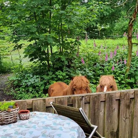 Rust En Stilte In De Natuur Onstwedde Exterior photo